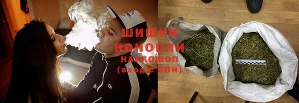 мдпв Инта