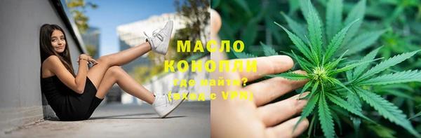 мдпв Инта