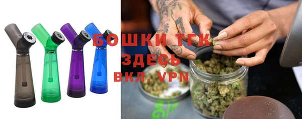 мдпв Инта