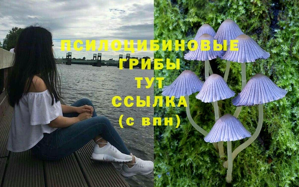 мдпв Инта