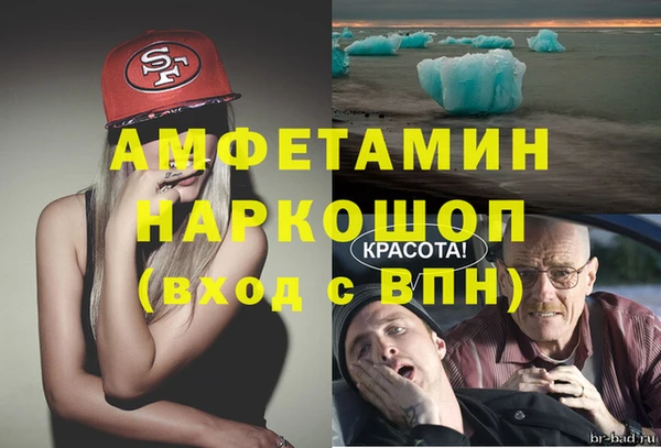 мдпв Инта