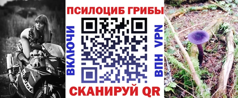 Галлюциногенные грибы GOLDEN TEACHER  Купить закладки  Родники 